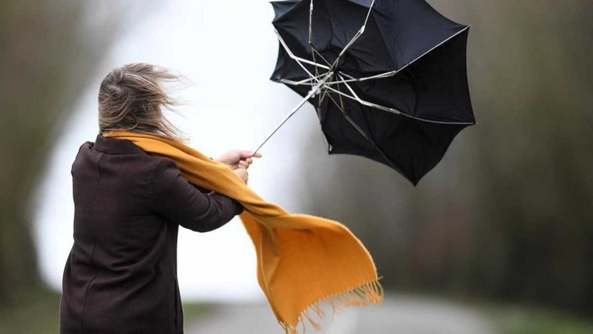 Синоптики попередили про пориви вітру на вихідних